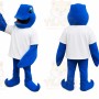 Fish Mascot Costume for Adults Custom Logo Party Character Suit
