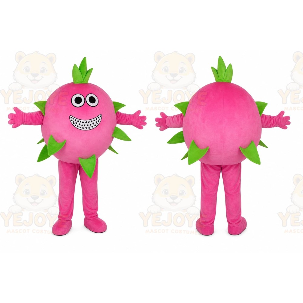 Fruit Character Mascot Costume for Adults Custom Logo Party Character Suit