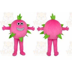 Fruit Character Mascot Costume for Adults Custom Logo Party Character Suit