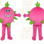 Fruit Character Mascot Costume for Adults Custom Logo Party Character Suit