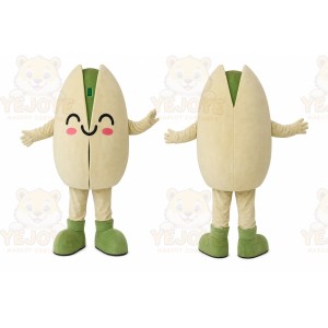Nut Mascot Costume for Adults Custom Logo Party Character Suit