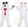 Bear Mascot Costume for Adults Custom Logo Party Character Suit
