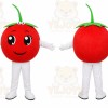 Tomato Mascot Costume for Adults Custom Logo Party Character Suit