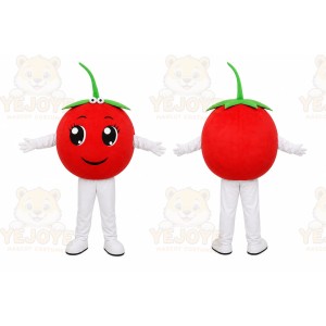 Tomato Mascot Costume for Adults Custom Logo Party Character Suit