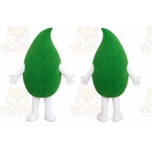 Leaf Mascot Costume for Adults Custom Logo Party Character Suit
