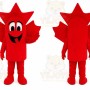 Maple leaf Mascot Costume for Adults Custom Logo Party Character Suit