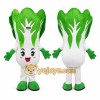 Vegetable Mascot Costume for Adults Custom Logo Party Character Suit Vegetable Mascot Costume for Adults Custom Logo Party Character Suit