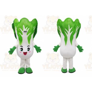 Vegetable Mascot Costume for Adults Custom Logo Party Character Suit