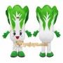 Vegetable Mascot Costume for Adults Custom Logo Party Character Suit