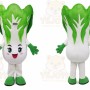 Vegetable Mascot Costume for Adults Custom Logo Party Character Suit