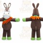 Donkey Mascot Costume for Adults Custom Logo Party Character Suit