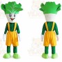 Vegetable Mascot Costume for Adults Custom Logo Party Character Suit