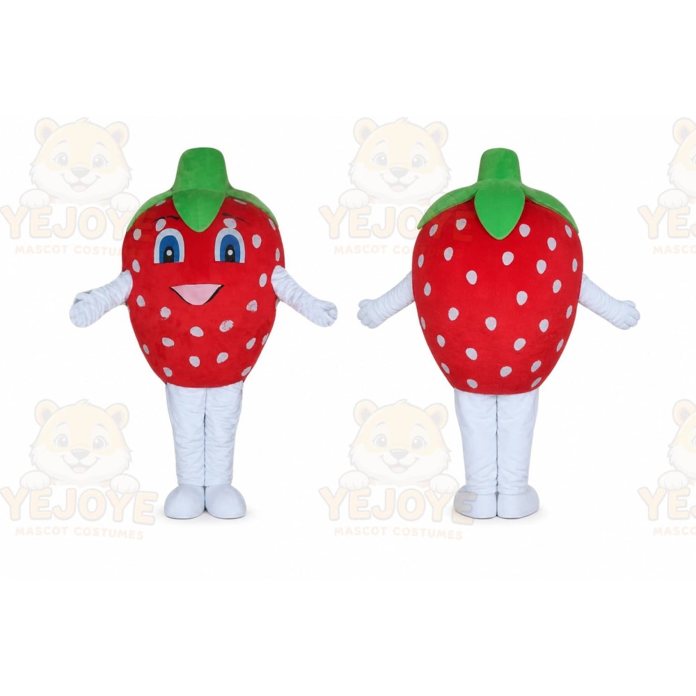 Fruit Mascot Costume for Adults Custom Logo Party Character Suit