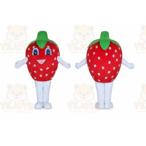 Fruit Mascot Costume for Adults Custom Logo Party Character Suit