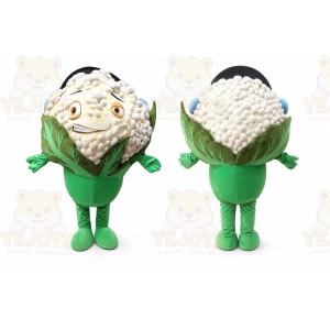 Vegetable Mascot Costume for Adults Custom Logo Party Character Suit