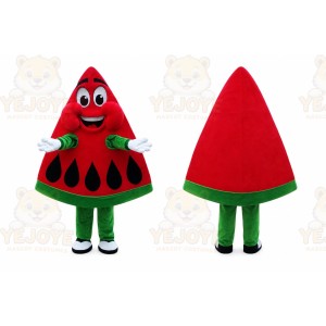 Watermelon Mascot Costume for Adults Custom Logo Party Character Suit