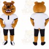 Bear Mascot Costume for Adults Custom Logo Party Character Suit