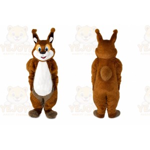 Squirrel Mascot Costume for Adults Custom Logo Party Character Suit