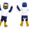 Blue Hawk Mascot Costume For Adult