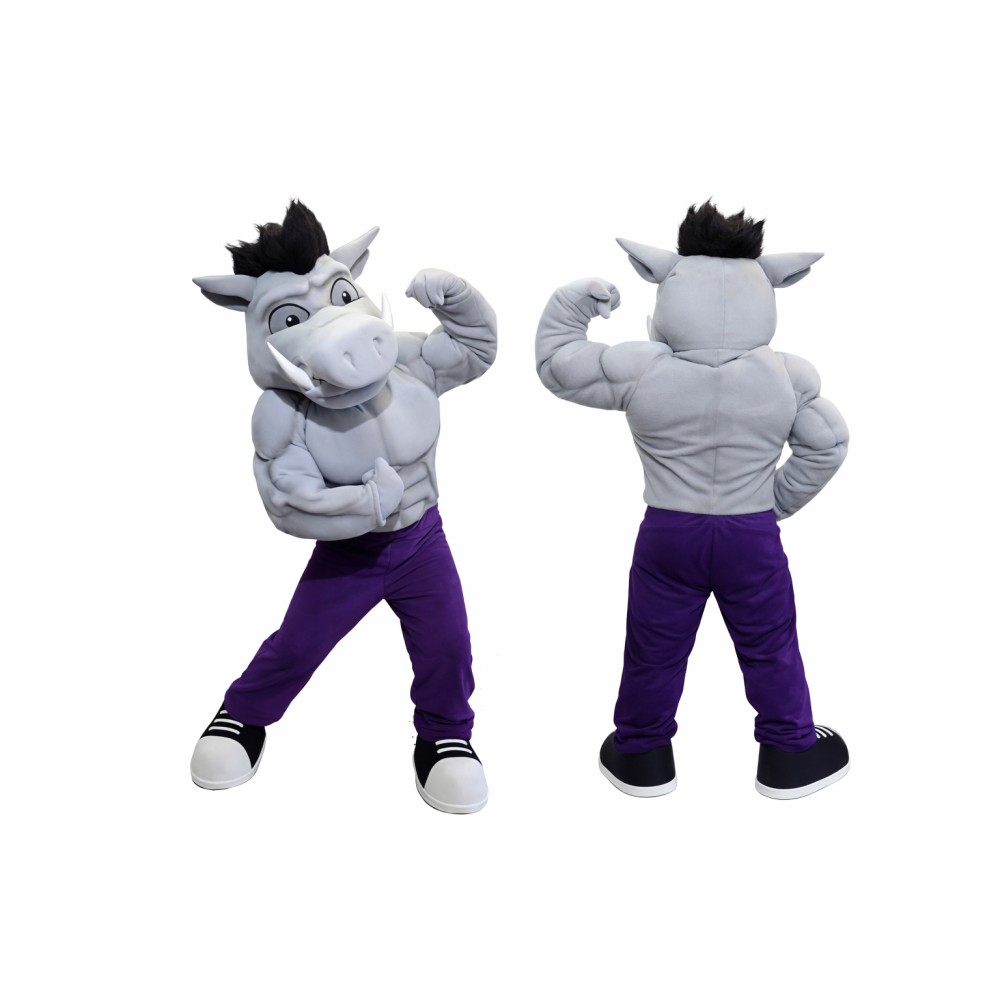 Power Hog Mascot Costume