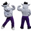Power Hog Mascot Costume