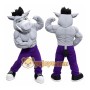 Power Hog Mascot Costume