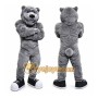Grey Bear Mascot Costume