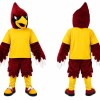 Bird Cardinal Mascot Costume