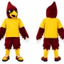 Bird Cardinal Mascot Costume