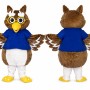 Cute Owl Mascot Costume