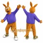 Sport Kangaroo Mascot Costume