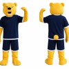 Fierce Cartoon Bear Mascot Costume