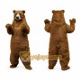 Brown Bear Mascot Costume
