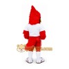 Red Cardinal Bird Mascot Costume