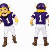 Purple Viking Mascot Costume
