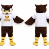Brown Owl Mascot Costume