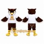 Brown Owl Mascot Costume