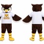 Brown Owl Mascot Costume