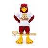 Dark Red Bird Mascot Costume Dark Red Bird Mascot Costume