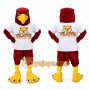 Dark Red Bird Mascot Costume