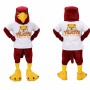 Dark Red Bird Mascot Costume