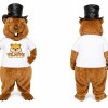 Brown Beaver Mascot Costume
