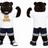 Dark Brown Bear Mascot Costume