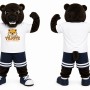 Dark Brown Bear Mascot Costume